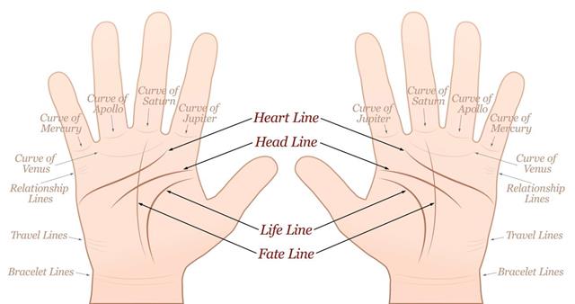 Palmistry Right Left Hand