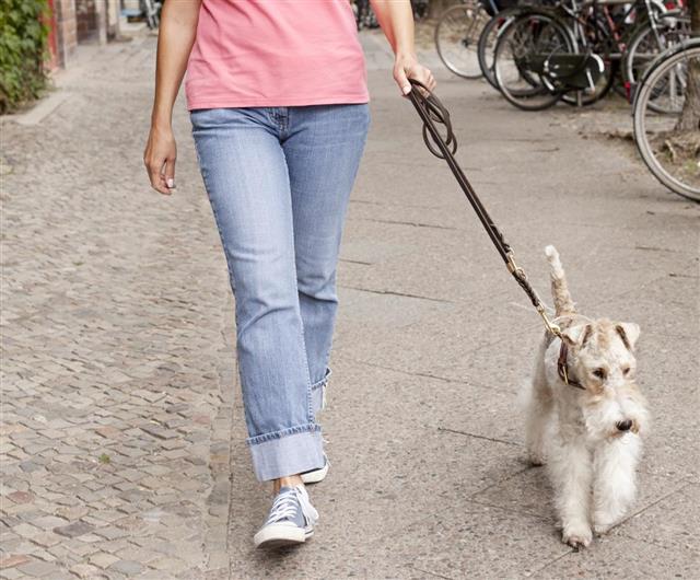 Woman walking with terrier