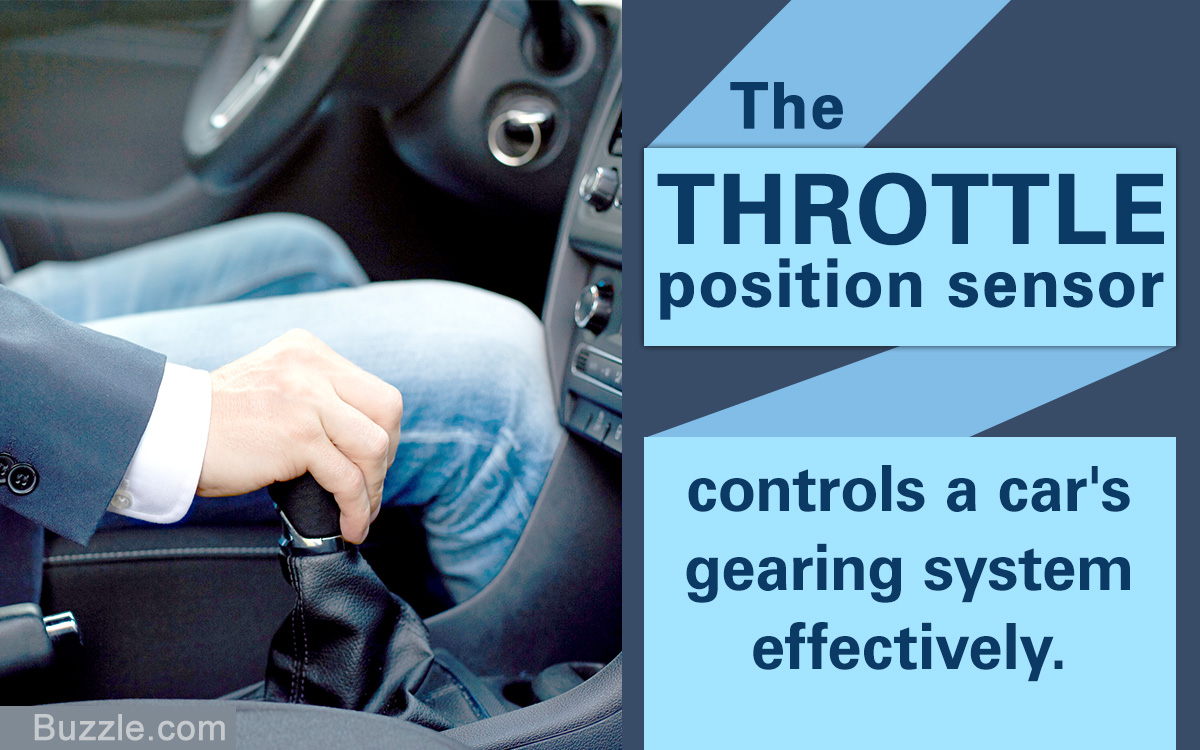 Throttle Position Sensor Location