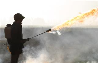 Man with Flamethrower