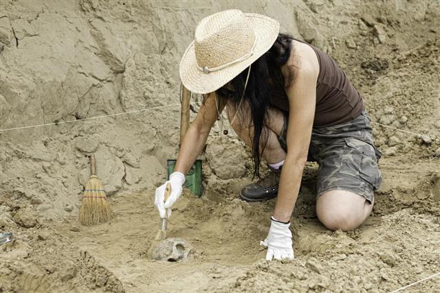 Archaeologist working