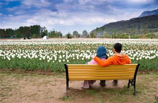 Young couple in tulip garden