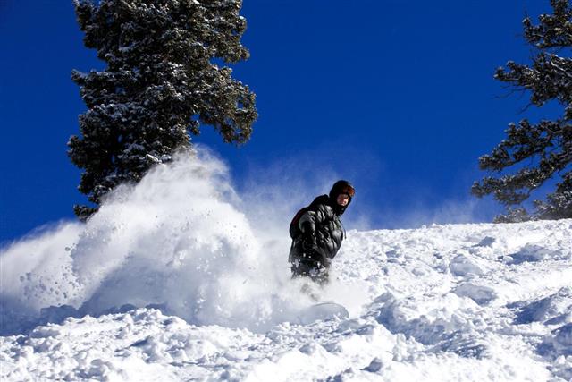 Snowboarder in action in Powder Snow