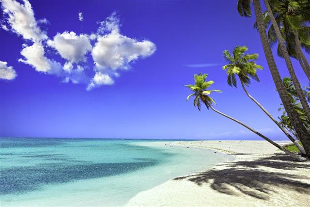 Tropical white sand beach in Caribbean island