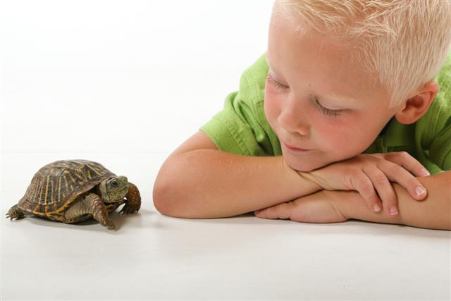 Child with pet turtle