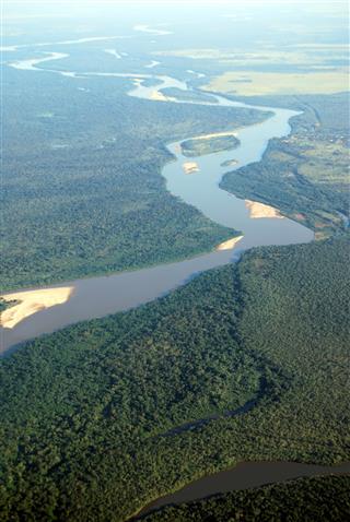 River in tropical rainforest