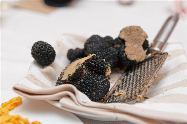 Grated black truffle on plate