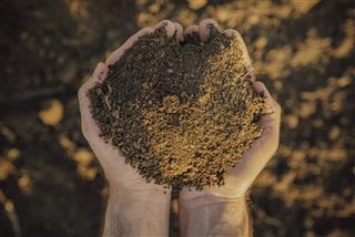 Farmer holding pile of soil on fertile agricultural land