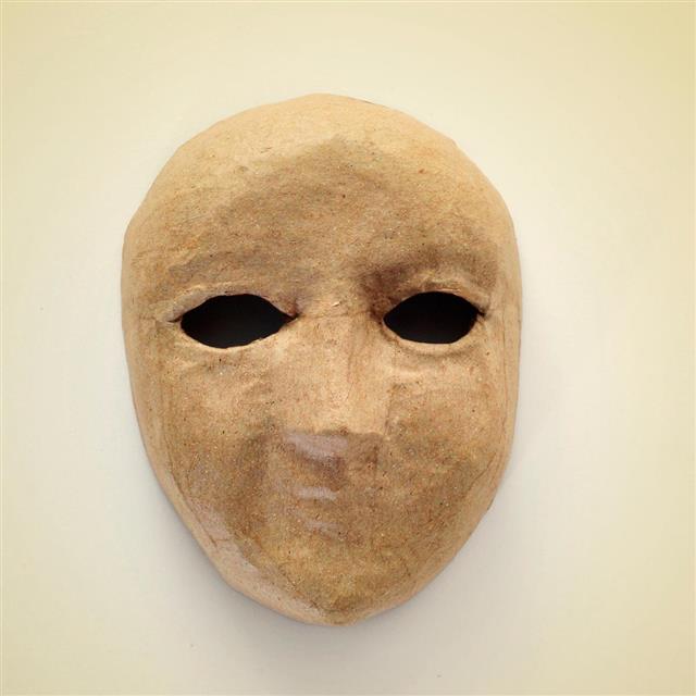 Paper mache mask