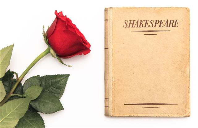 Book by Shakespeare and rose
