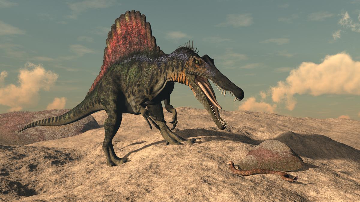 Facts About the Spinosaurus That'll Make Your Head Spin