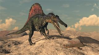 Spinosaurus dinosaur hunting a snake