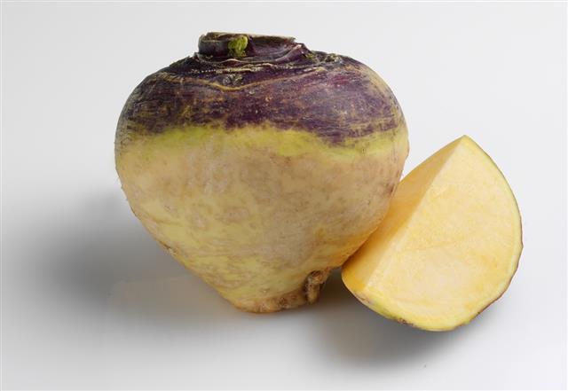 Swede root fruit