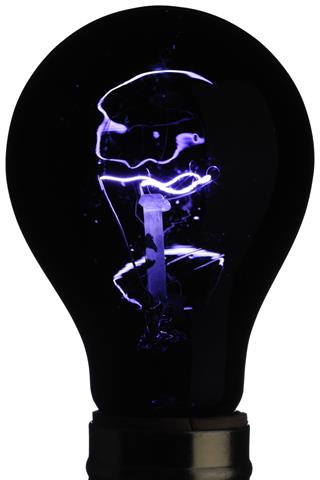 Party Lighting - Black Light Bulb