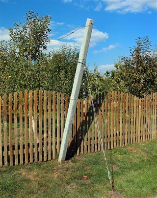 Poles and wires support fruit trees in a garden