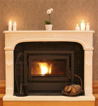 Fireplace with Burning Firewood