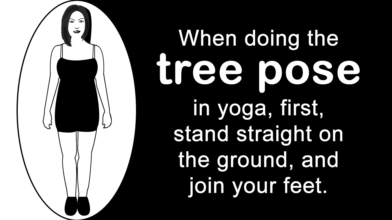 Tree Pose in Yoga