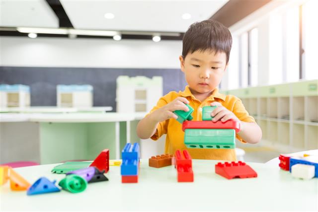 Young Boy Playing the Blocks