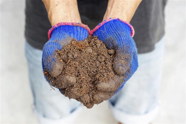 Man hold a soil in his hands