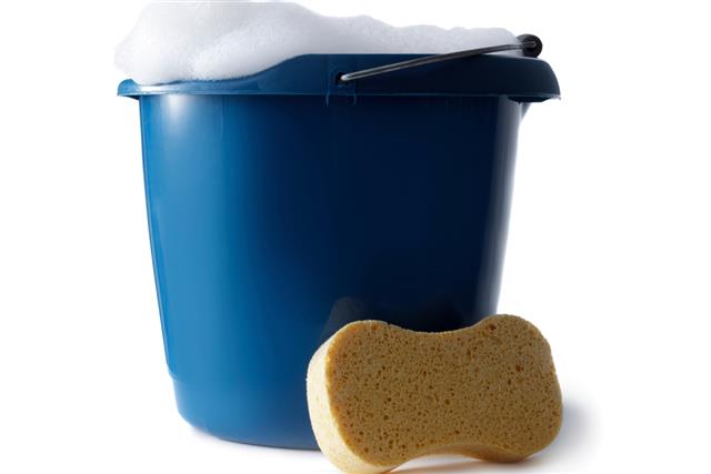 Cleaning, Bucket with Soap and Sponge