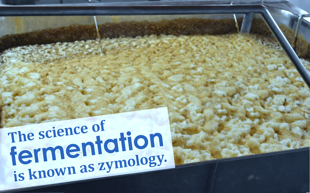 What is Fermentation