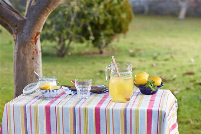 Preparing homemade lemonade in garden table