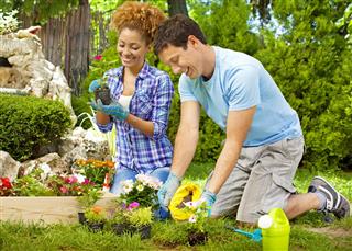 Young Couple Planting Flower Plant