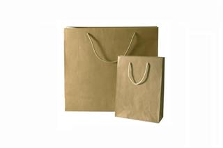 shopping: two bags isolated