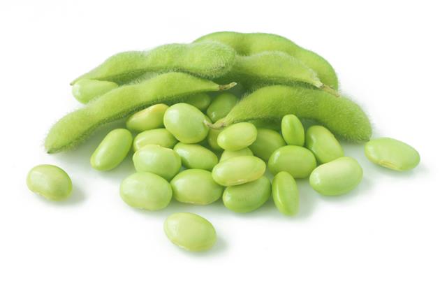 Fresh edamame(green soybean)