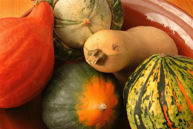 Winter Squash Vegetable Variety???Acorn, Butternut, and Other Autumn Food