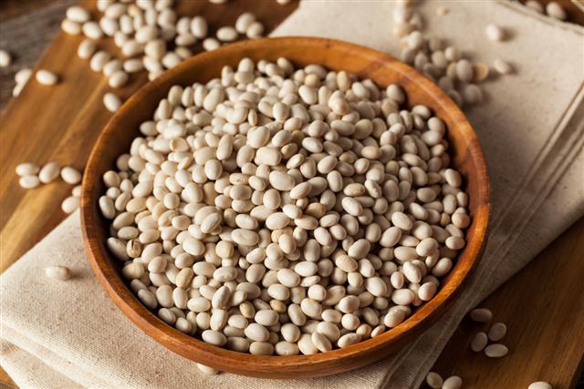 Raw Organic White Navy Beans