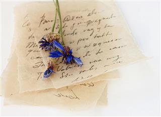 Love letters with dried flower