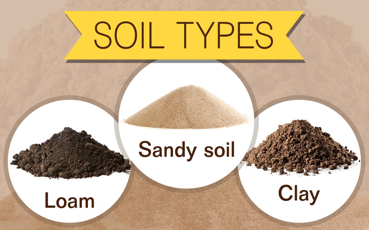 How to Determine Soil Type