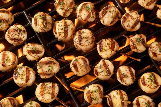 Barbecue Scallop on the Grill