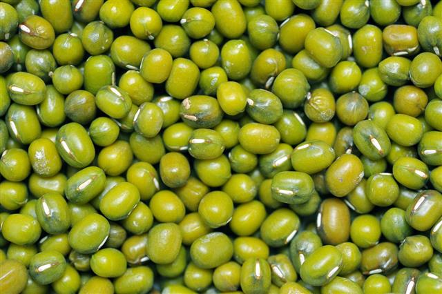 Green or mung beans
