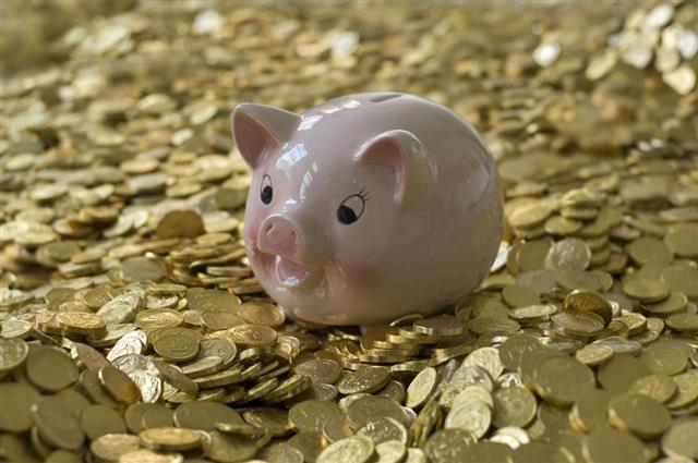 Piggy Bank with Gold Coins