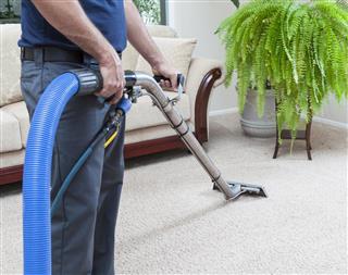 Steam Cleaning Carpets