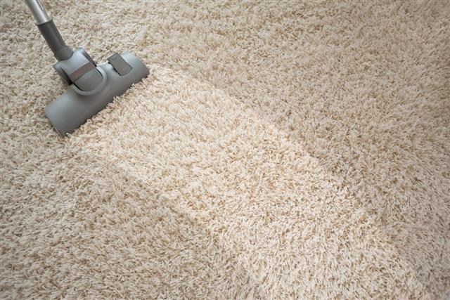 vacuum clean the carpet
