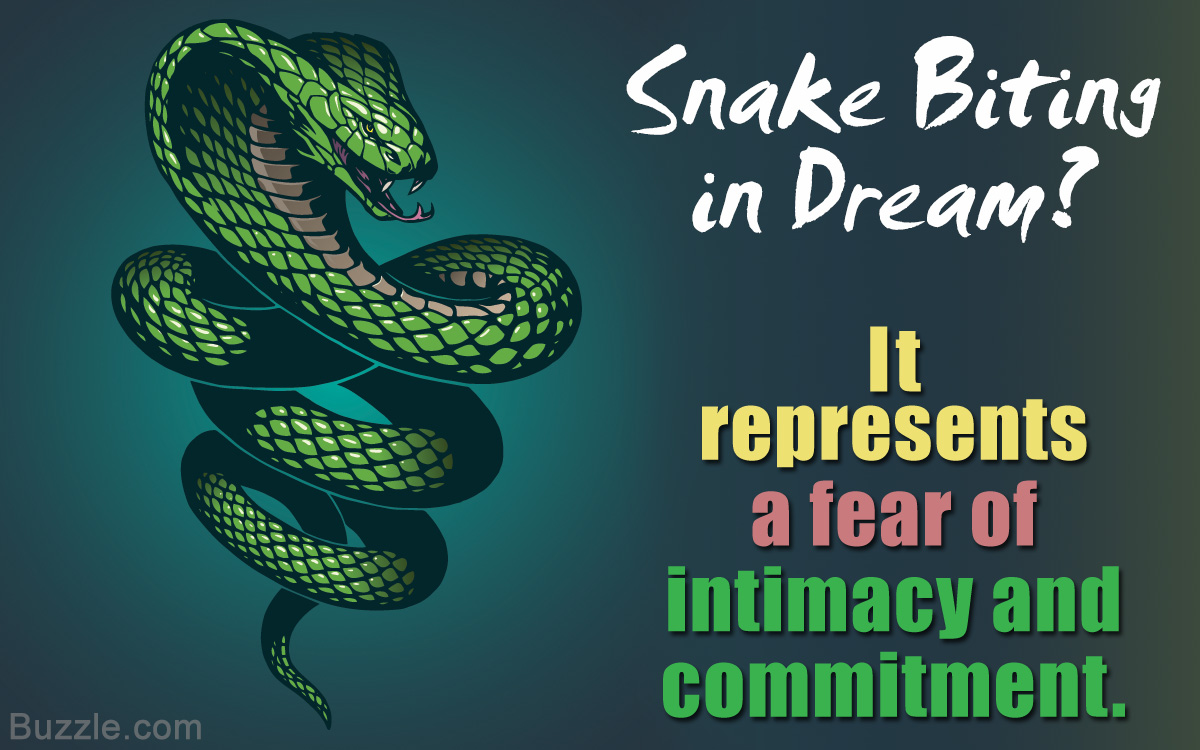 What Does a Dream About Being Bitten By a Snake Mean?