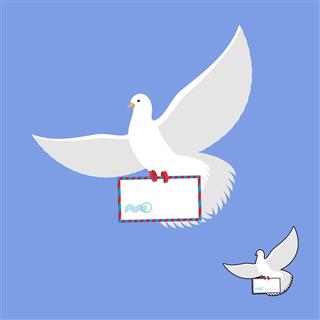 Postal pigeon and mailing envelope.