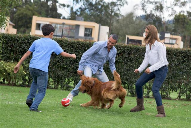 Family playing football together