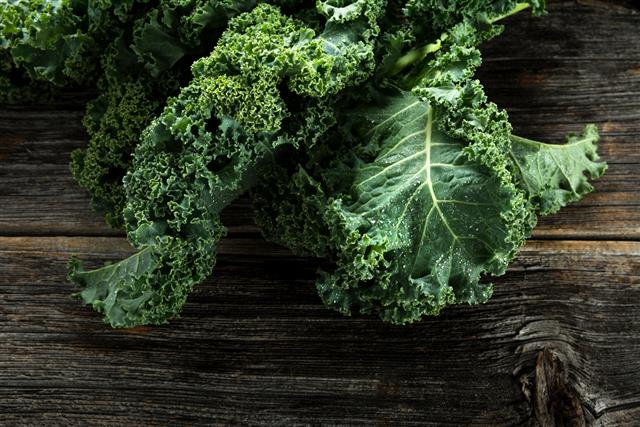 Organic Kale