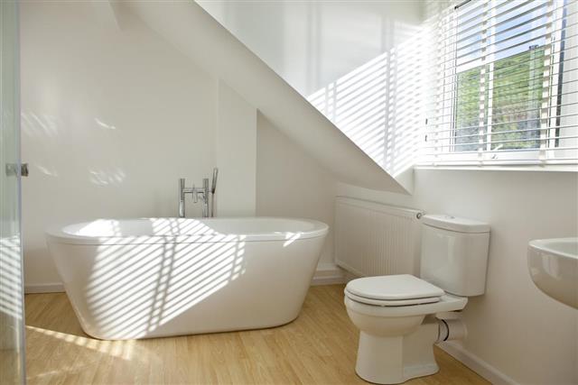 White bathtub with toilet