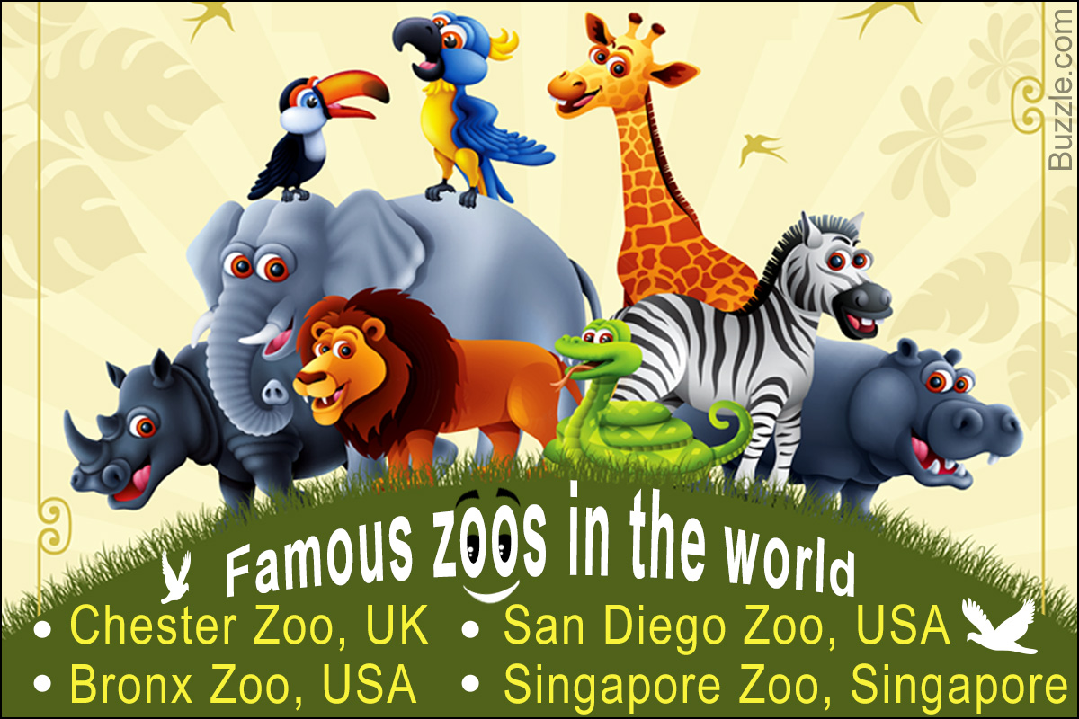 Best Zoos in the World