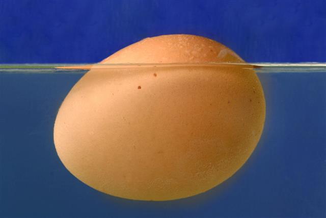 floating egg