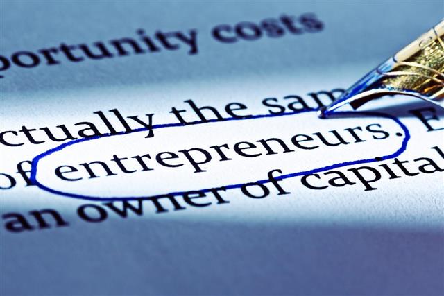 entrepreneurs in business document
