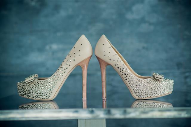 Elegant & Stylish Bridal Shoes