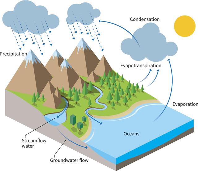 Water Cycle Project Ideas - Science Struck