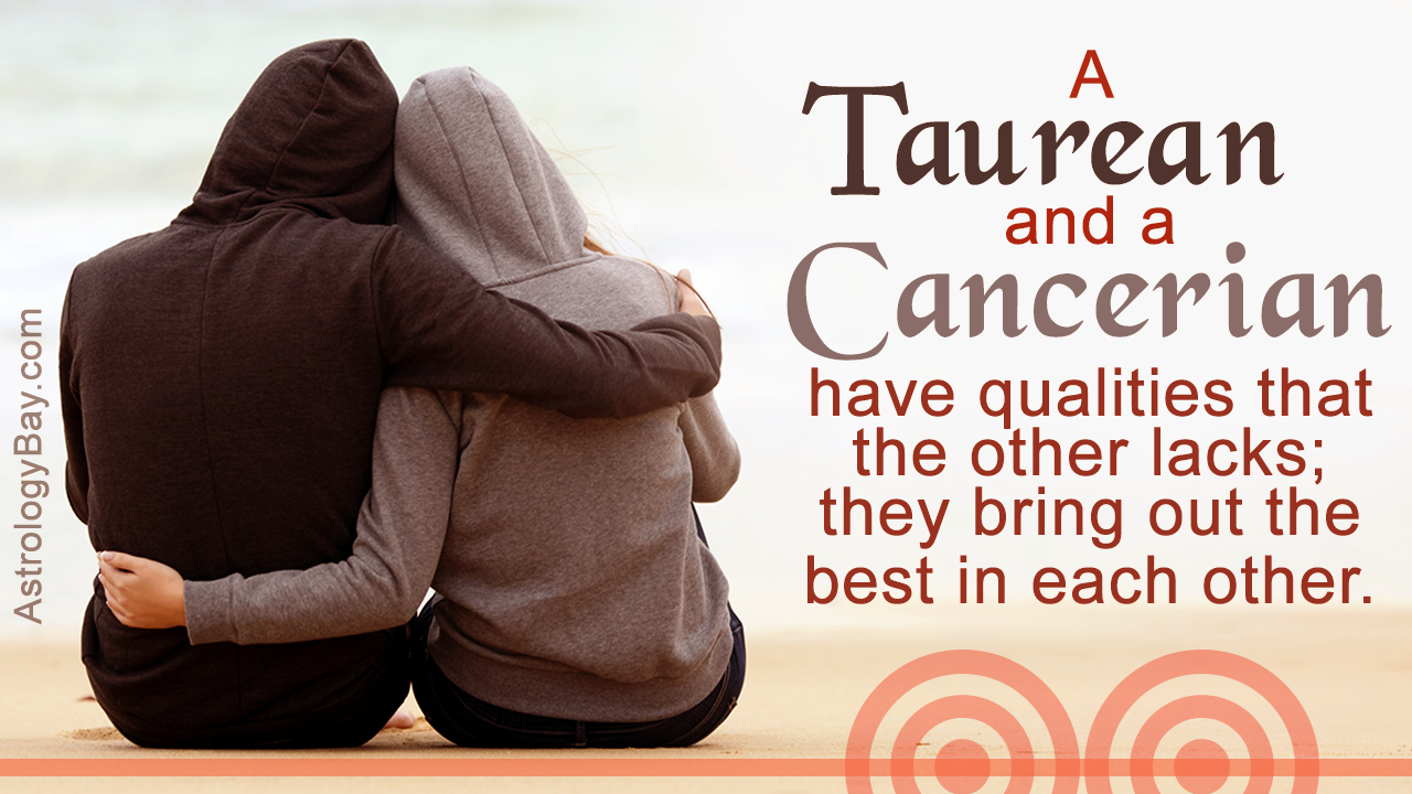 Cancer vs taurus fight