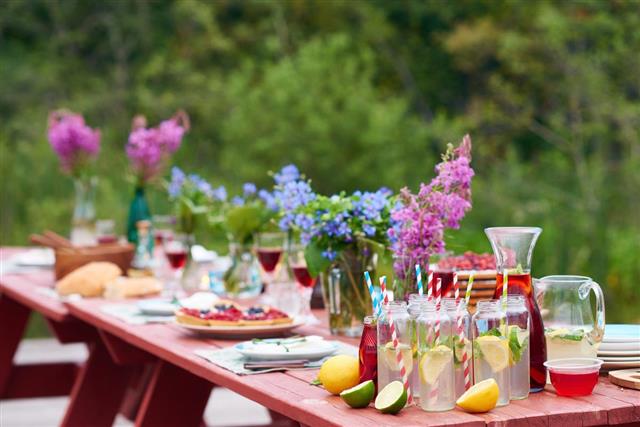 Outdoor Party table decorations